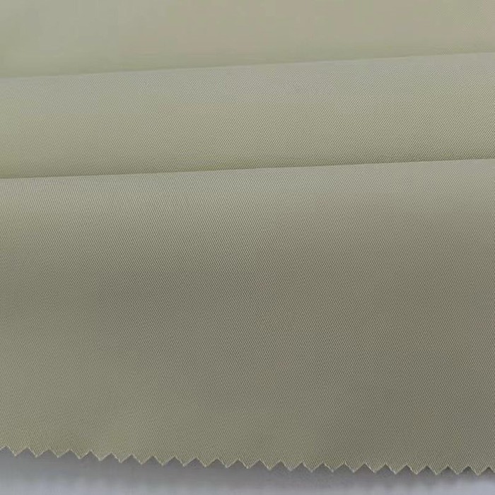 75D*50D SORONA 3/3 Twill Fabric 75D*50D SORONA 3/3 Twill Fabric